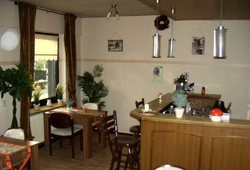 Отель Pension Lume