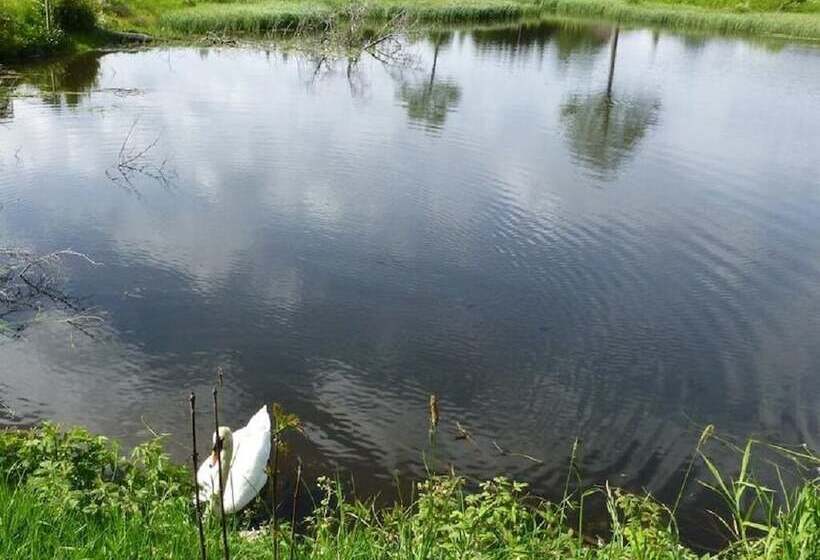 Hotel Pension Muhlencafe