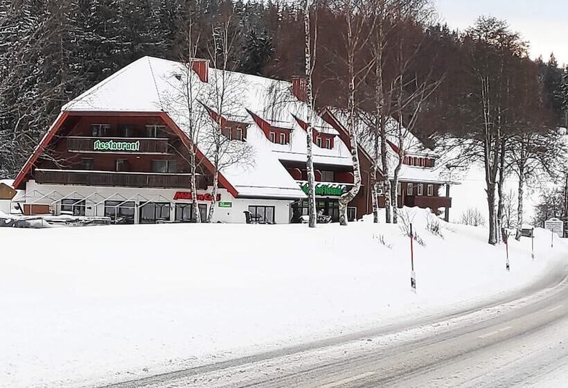 Hotel Pension Muhlencafe