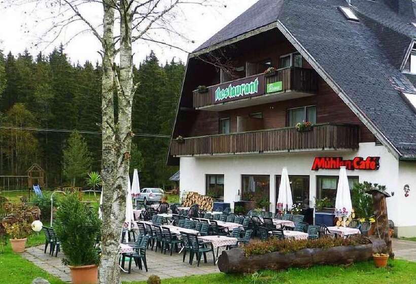Hotel Pension Muhlencafe
