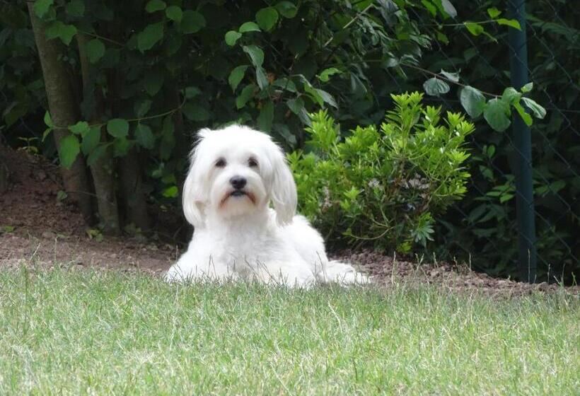 Отель Pension Und Apartment Landhaus Fricke