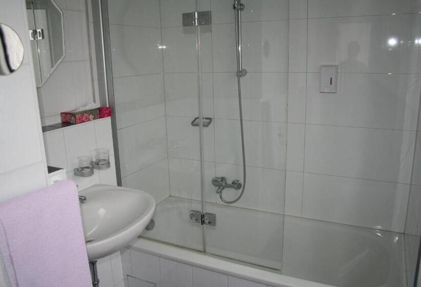 בית מלון כפרי Regina