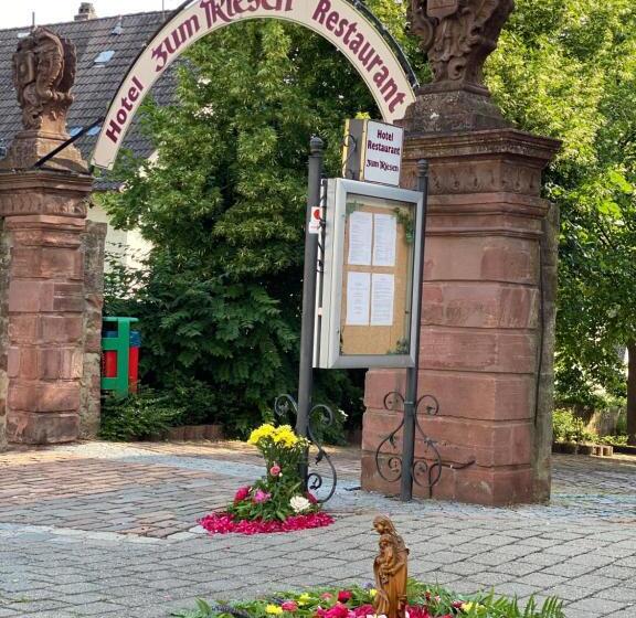 فندق & Restaurant Zum Riesen