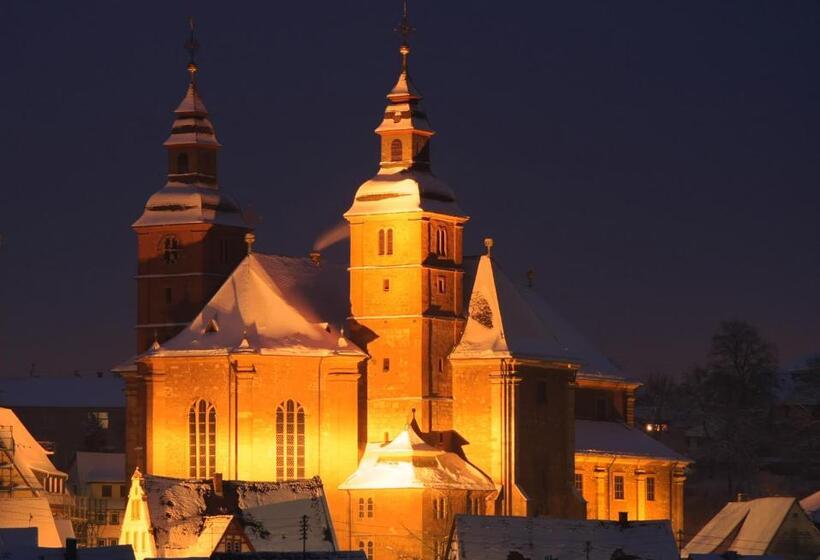 호텔 & Restaurant Zum Riesen