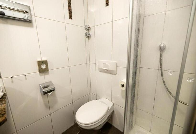 호텔 & Restaurant Zum Riesen