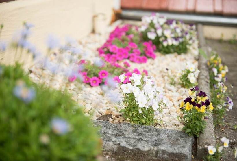 Отель Seeland Lodge