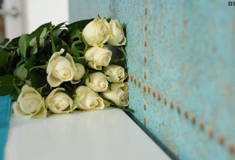 Отель Seeland Lodge