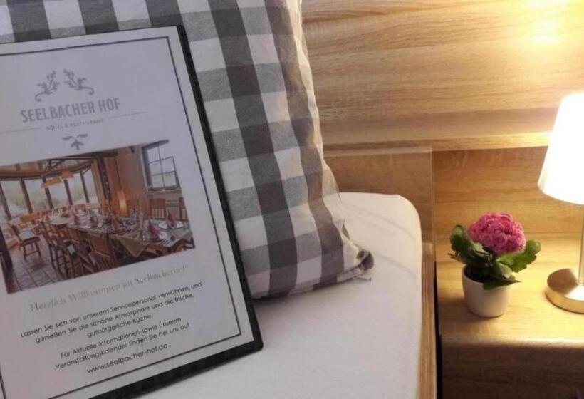 Отель Seelbacher Hof