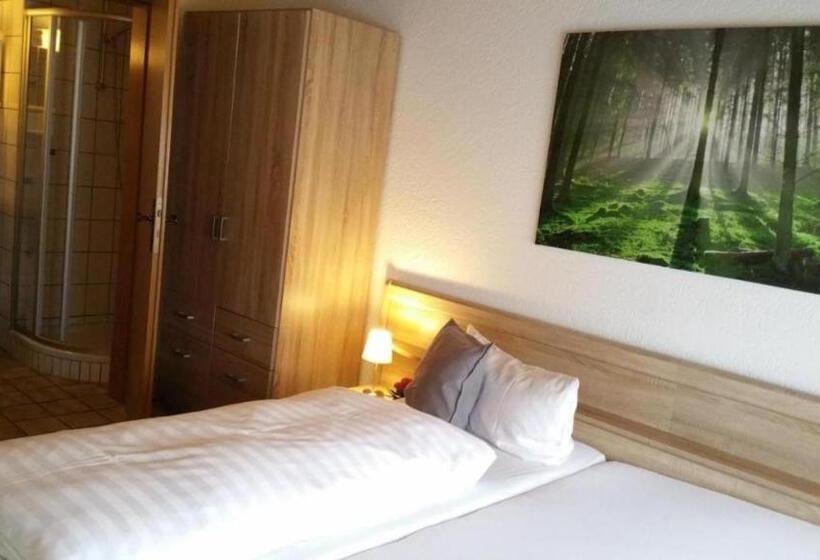 Отель Seelbacher Hof