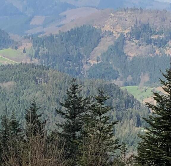 فندق Solhof Schömberg