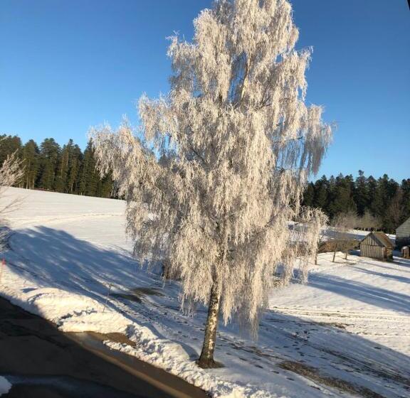 فندق Solhof Schömberg