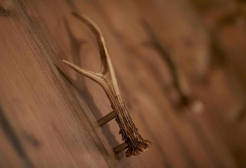 Отель Sonne Gasthof