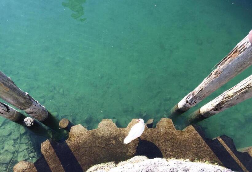 Отель Spiegel Garni