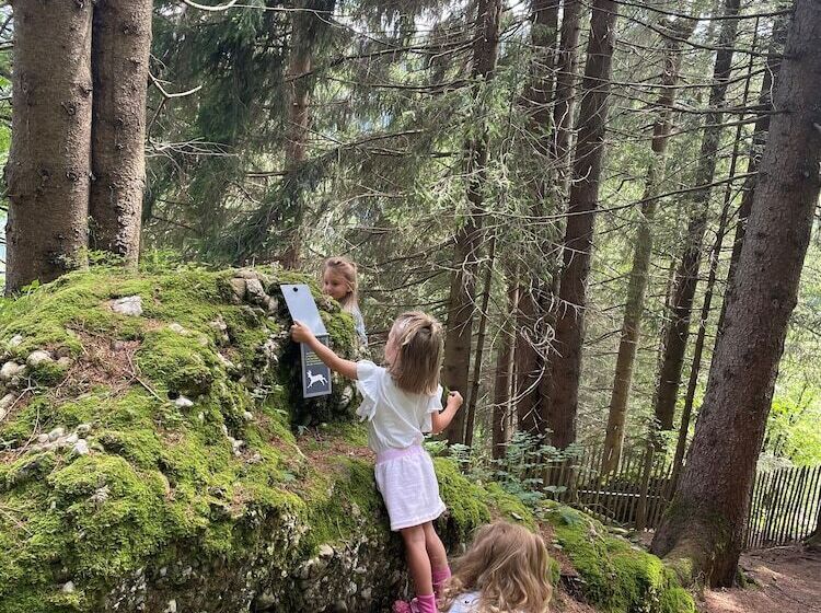 Отель Torghele S Wald & Fluh