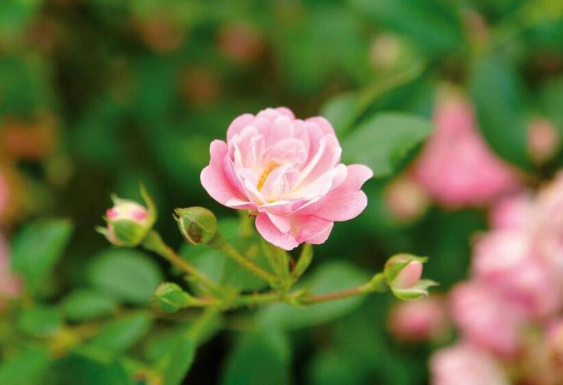 ホテル Und Restaurant Bühlhaus