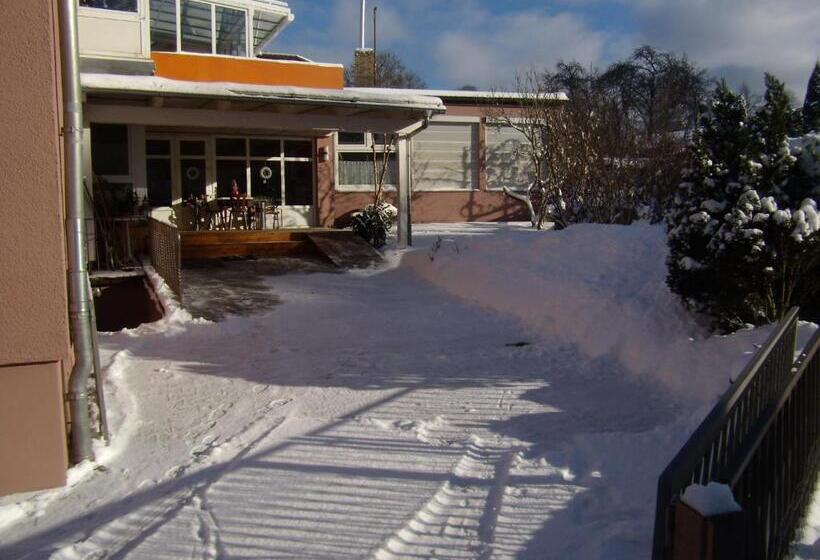 Отель Daschner Gmbh