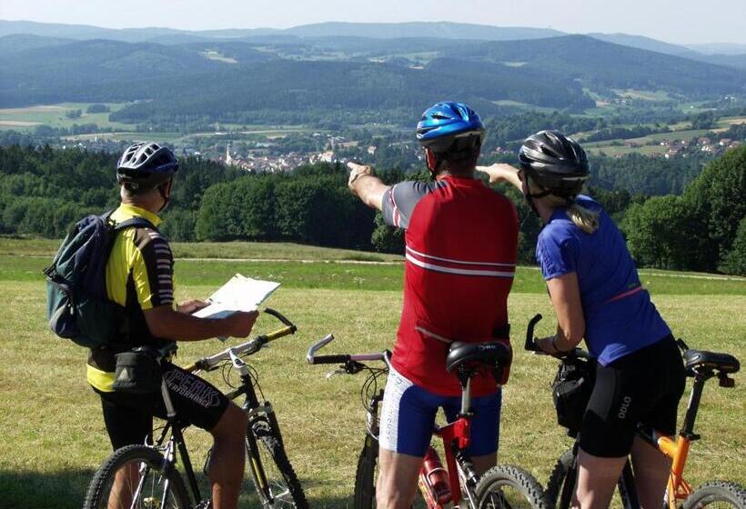 Отель Daschner Gmbh