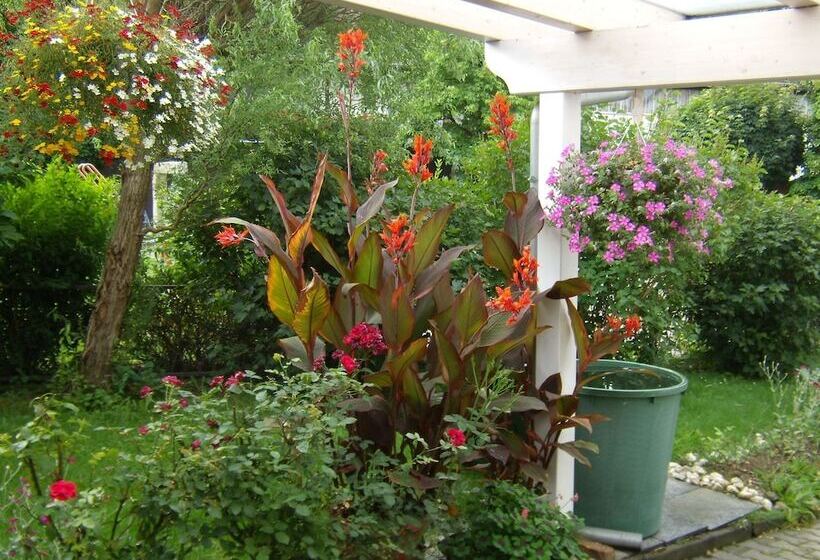 Отель Daschner Gmbh