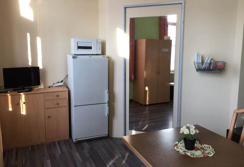 Отель Zimmerfrei Dresden Mit Bad Miniküche Self Check In 24 7