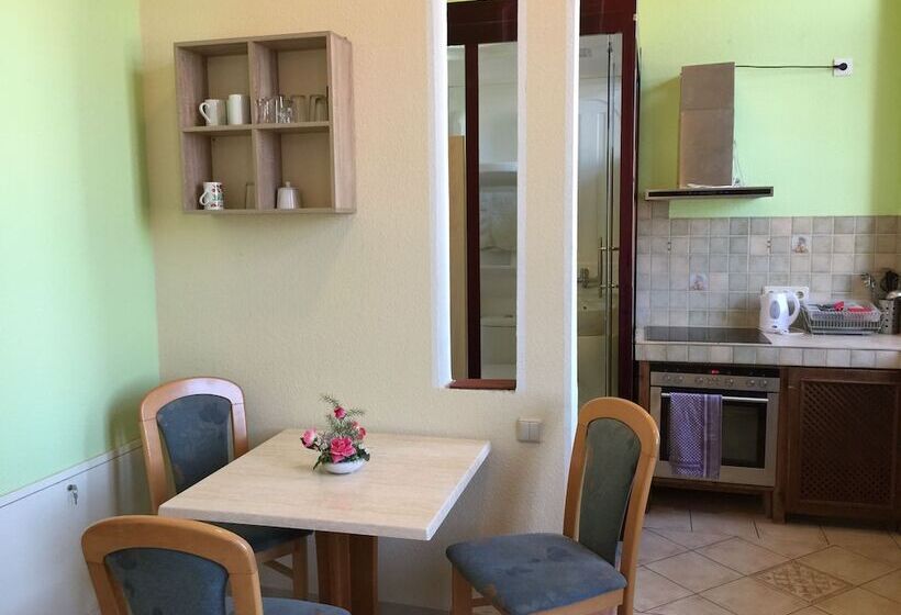 Отель Zimmerfrei Dresden Mit Bad Miniküche Self Check In 24 7