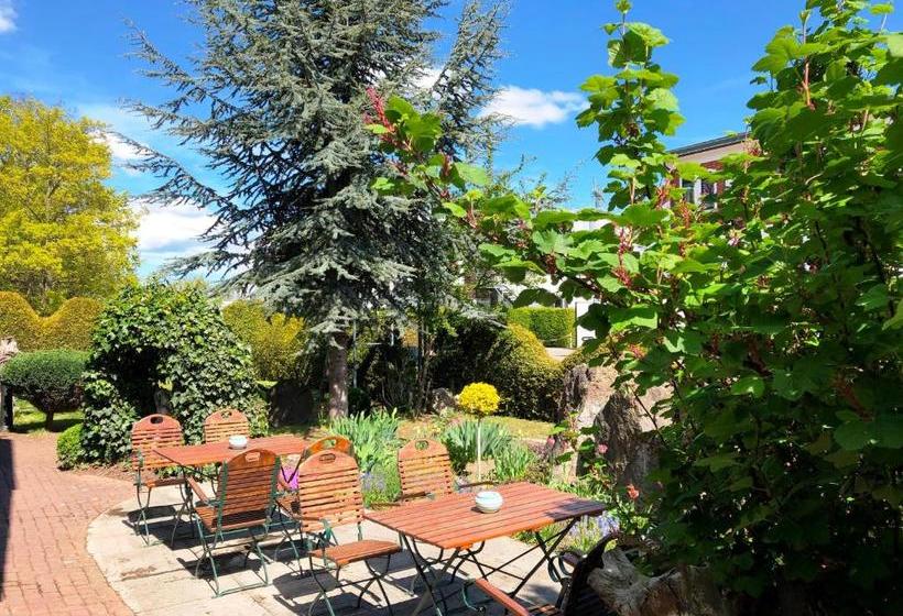 فندق Pension Zum Brauhaus