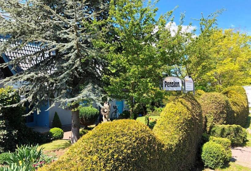 酒店 Pension Zum Brauhaus