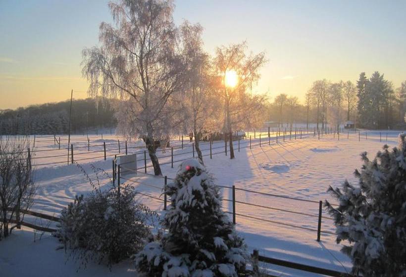 ホテル Ferienpension Zum Hochscheid