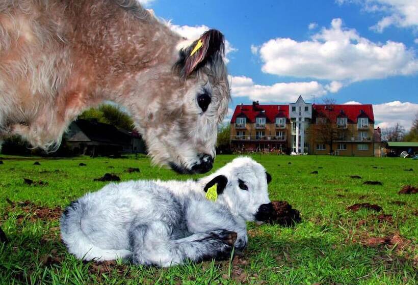 Landhotel Löwenbruch