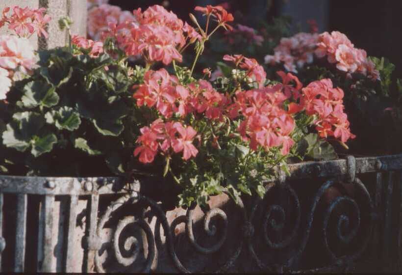 Unser Kleines Hotel Café Göbel