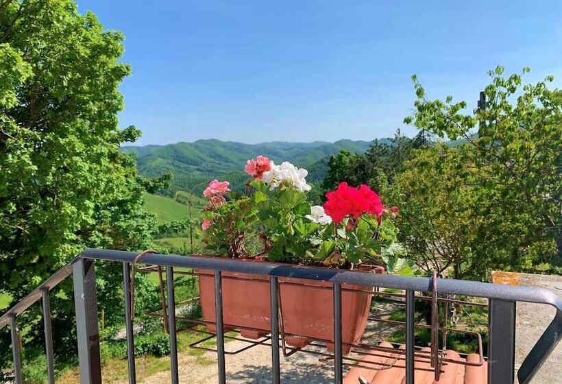 住宿加早餐  Butterflies Rest