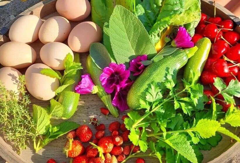 住宿加早餐  Butterflies Rest