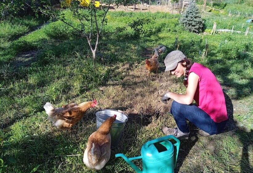 住宿加早餐  Butterflies Rest