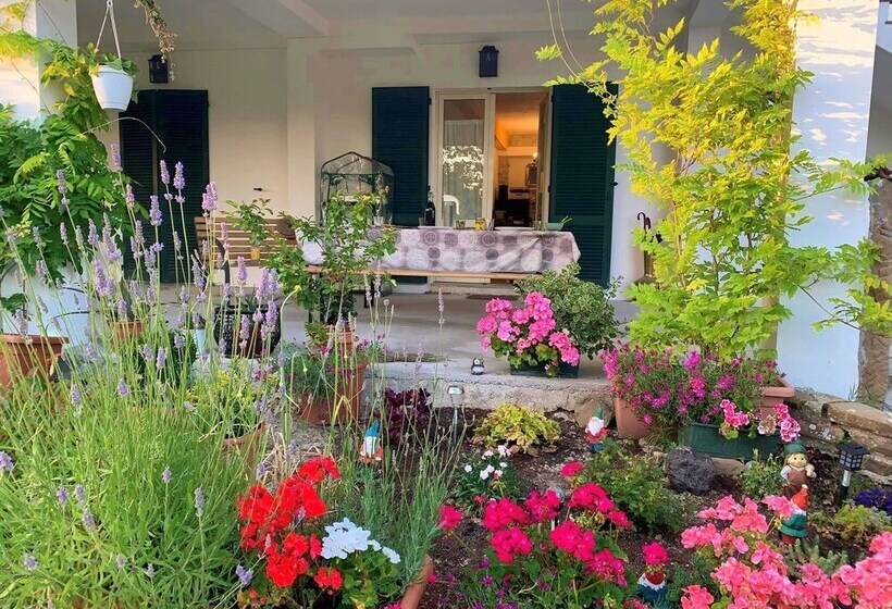 住宿加早餐  Butterflies Rest