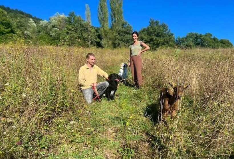 住宿加早餐  Butterflies Rest
