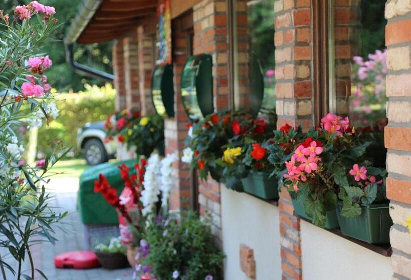 住宿加早餐  Castrum Camping & Pension