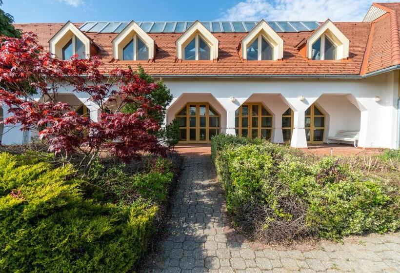 Bed and Breakfast Global Apartmanház