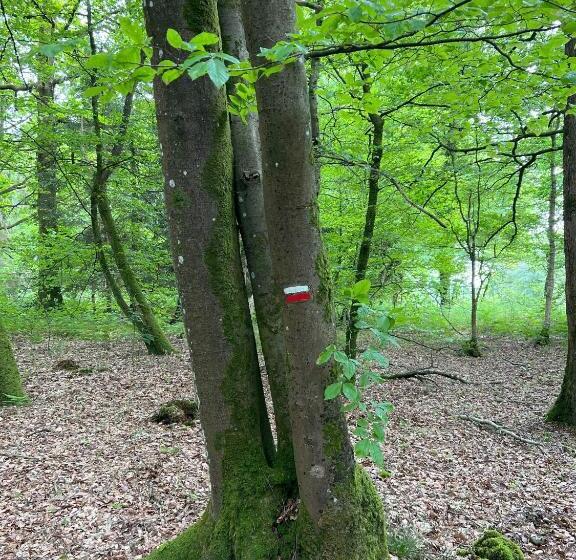 ベッドアンドブレックファースト Manoir De La Prise Tarot