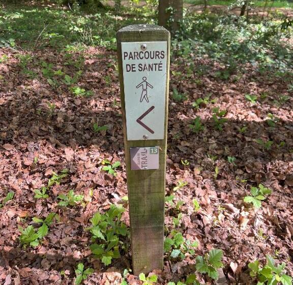 ベッドアンドブレックファースト Manoir De La Prise Tarot