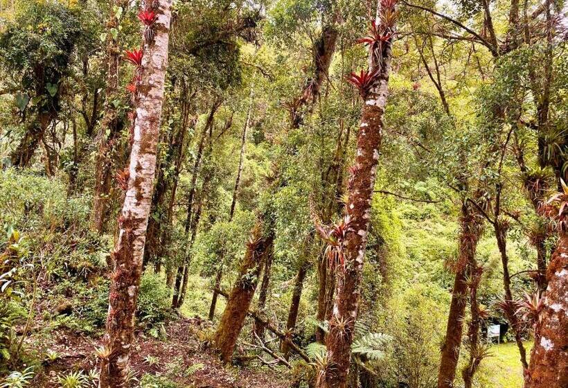 فندق Cabaña Anturios