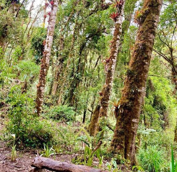 فندق Cabaña Anturios