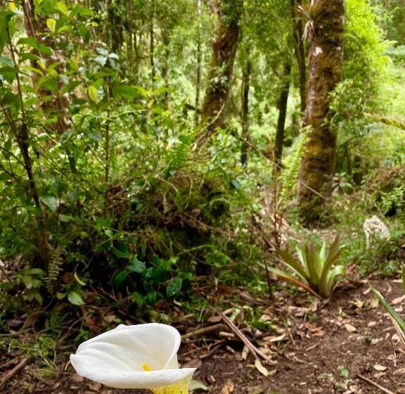 فندق Cabaña Anturios