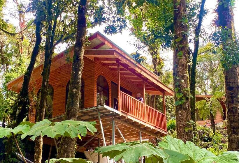 فندق Cabaña Anturios