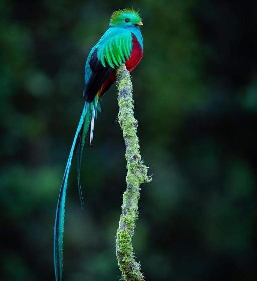 فندق Cabaña Anturios