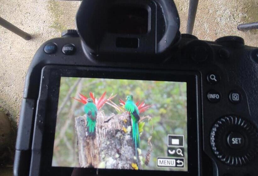 فندق Cabaña Anturios