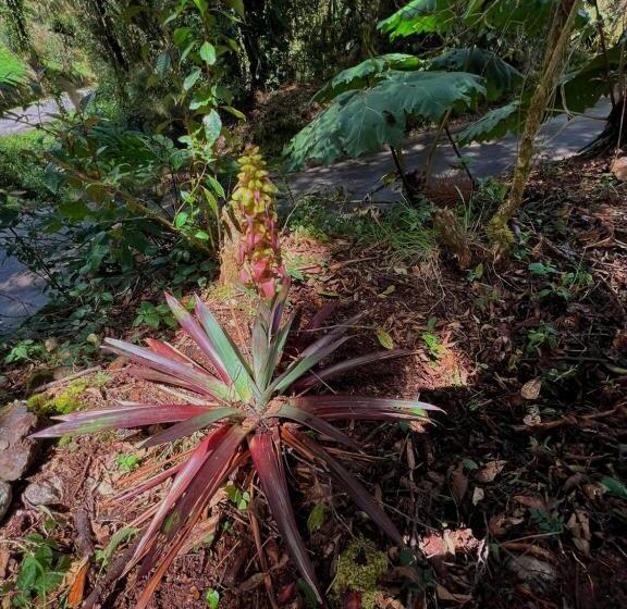 فندق Cabaña Anturios