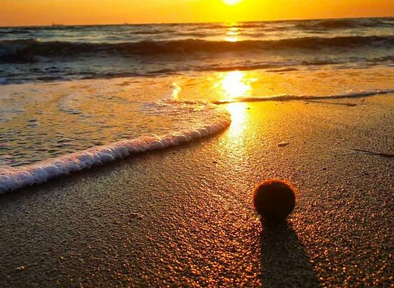 Te Bujtina Hotel&restaurant