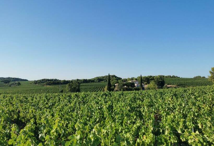 بنسيون La Chambre Du Saunei