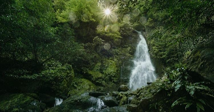 پانسیون Park Cottage Mtirala National Park