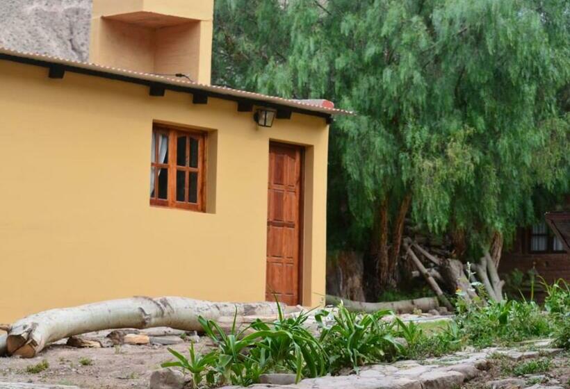 فندق صغير Familia Albahaca