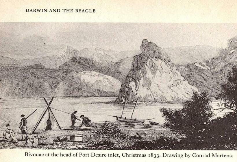 مبيت وإفطار Campamento Darwin